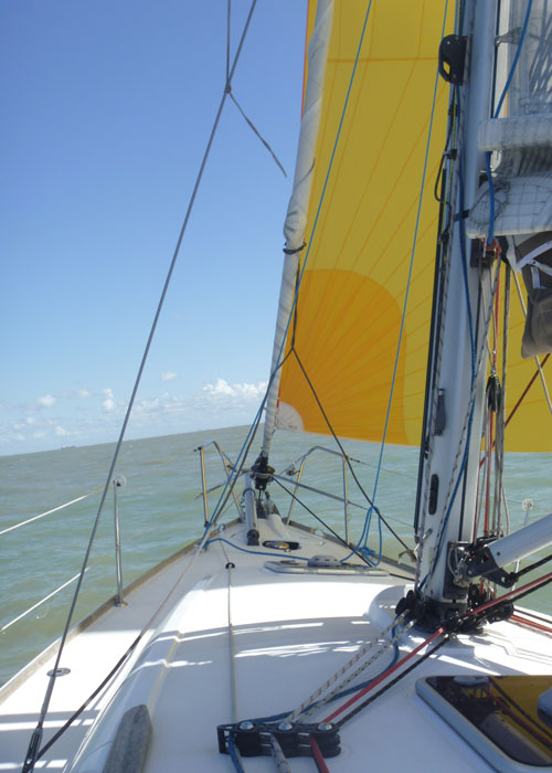 Boottocht Zeebrugge bakboord van de Beluga